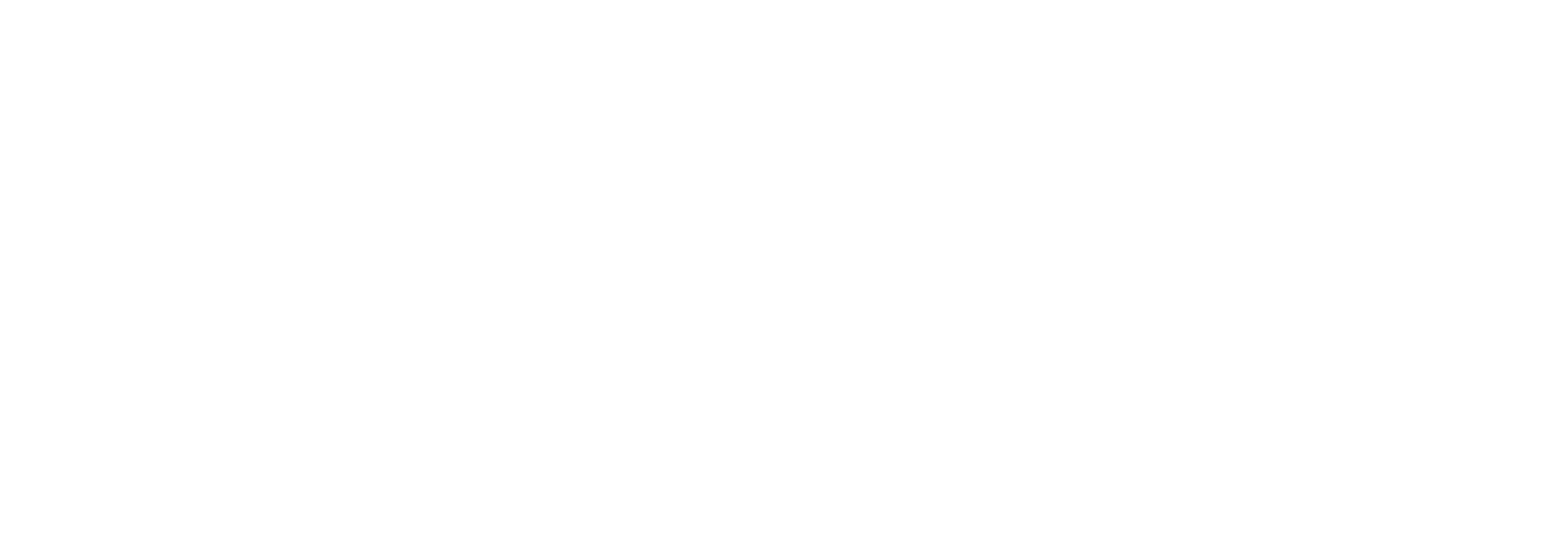 Vyv Logo White