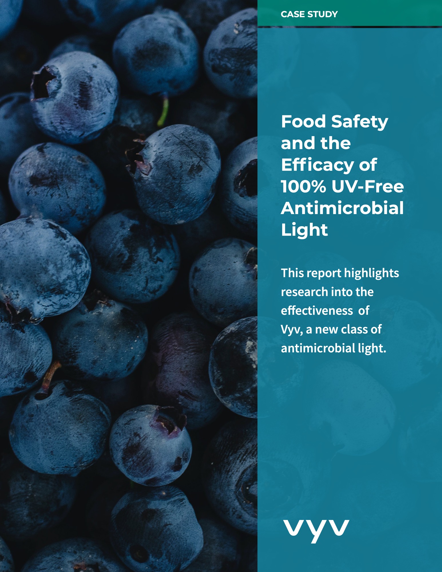 Food Safety and the Efficacy of 100% UV-Free Antimicrobial Light
