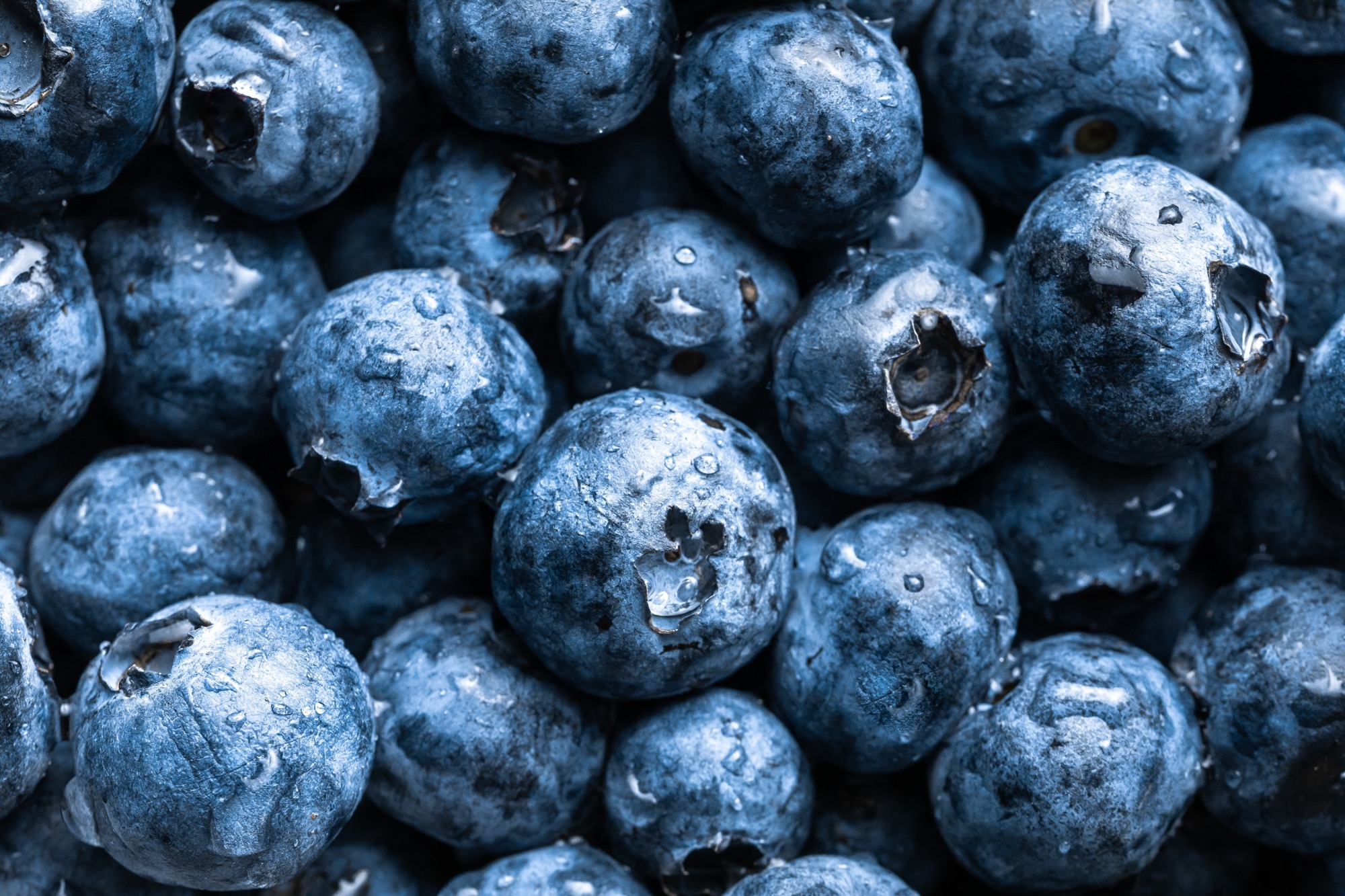 Food Safety and the Efficacy of 100% UV-Free Antimicrobial Light